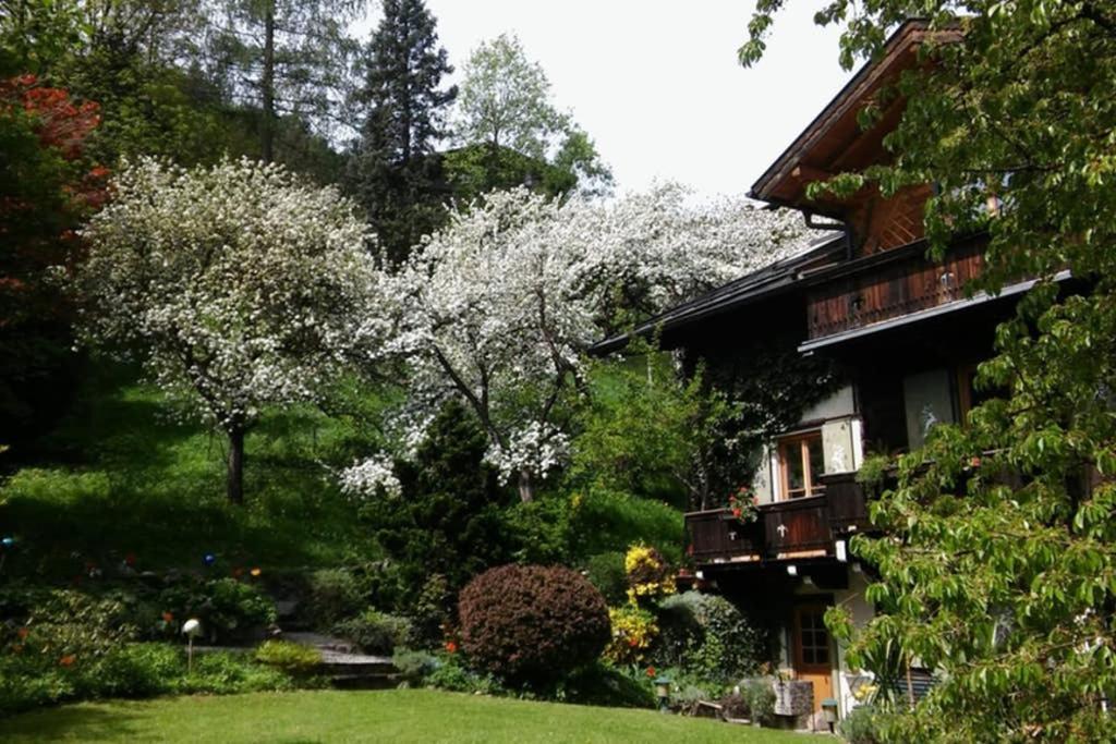 Haus Weidmannsheil - Wohnen Im Romantischen Forsthaus Верфен Екстериор снимка